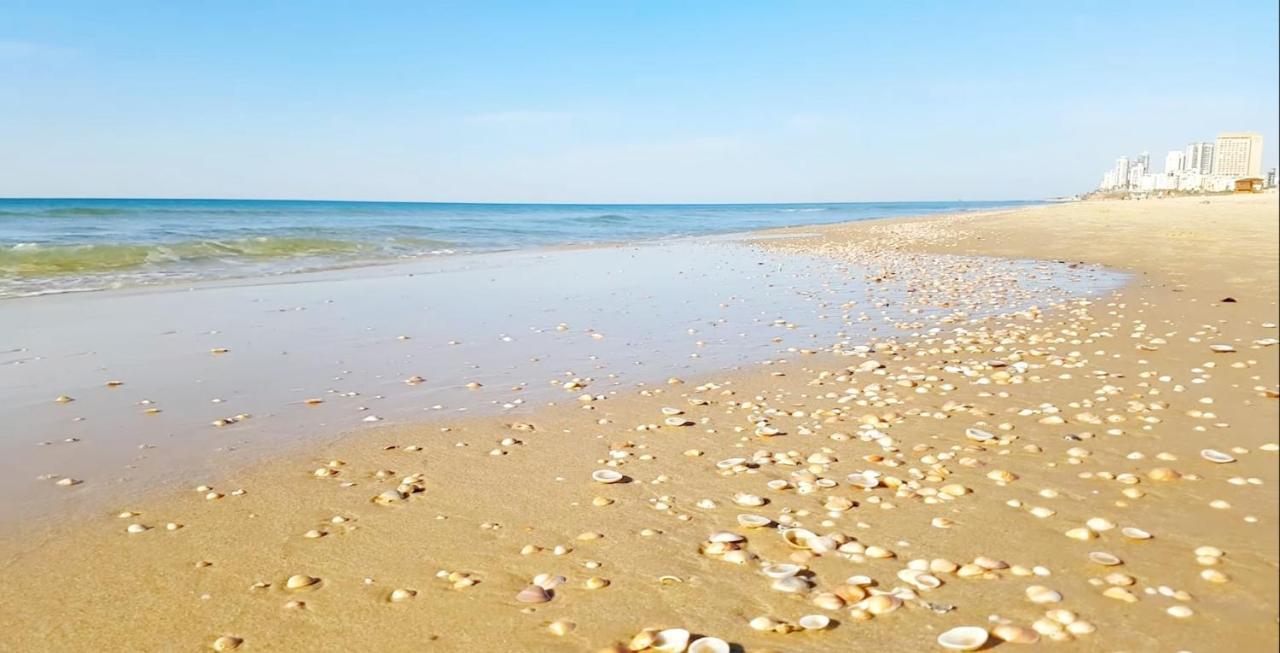 Beachfront Studio Apartment Bat Yam 412 Экстерьер фото