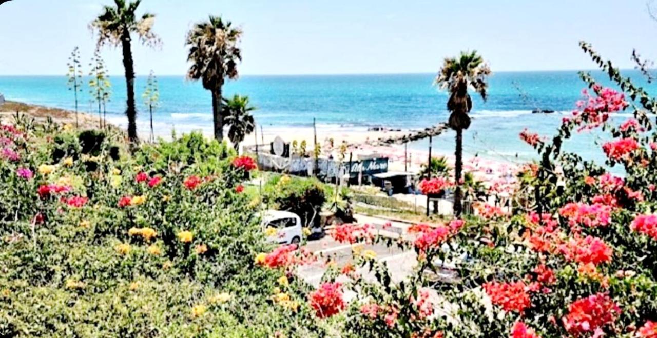 Beachfront Studio Apartment Bat Yam 412 Экстерьер фото